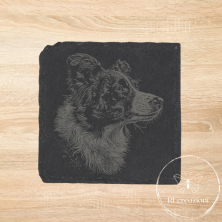 sottobicchiere in ardesia con incisione laser cane Border Collie