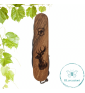 Victorinox Huntsman Wood avec gravure laser cerf 13 fonctions. Personnalisé sur demande